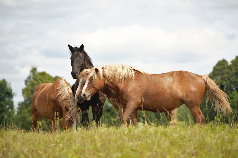 Фотография автора Марина Красовская