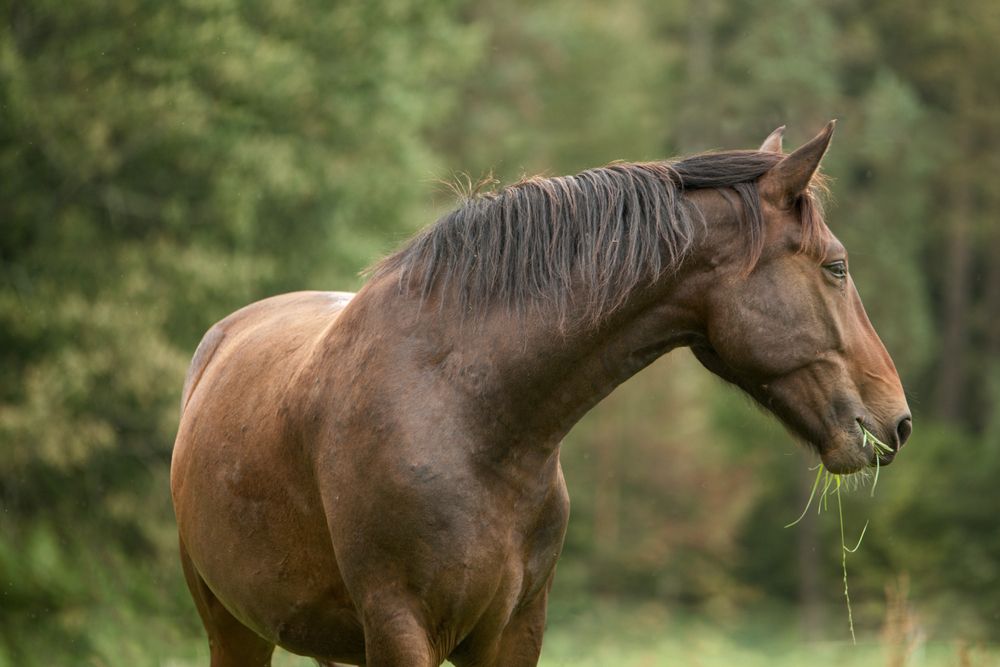Фотография автора Марина Красовская