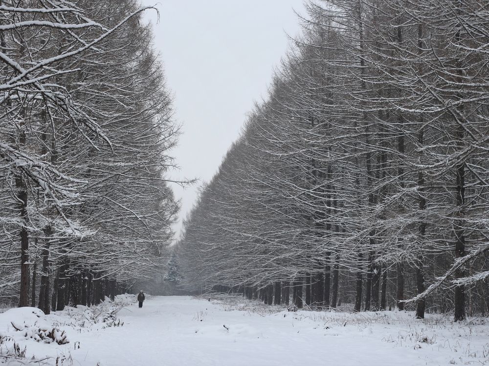 Фотография автора Андрей Шестаков