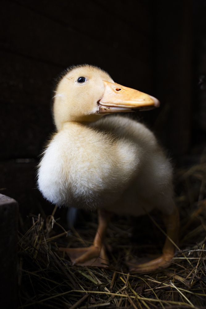 Photograph by Marija Kordić