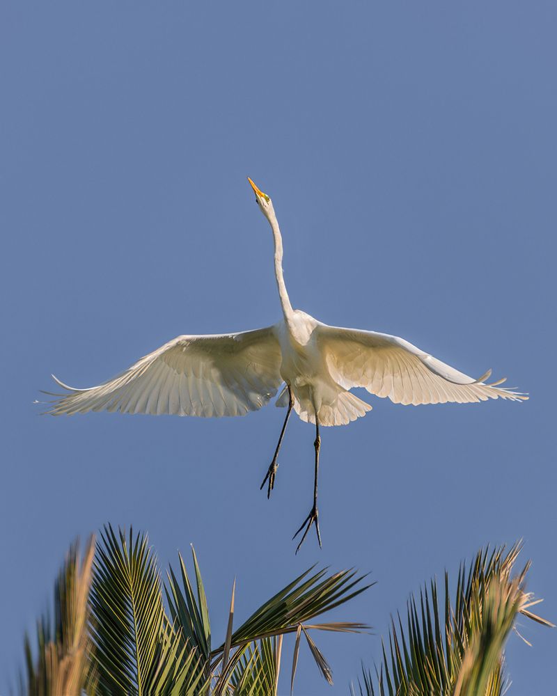 Photograph by Марина Ческис