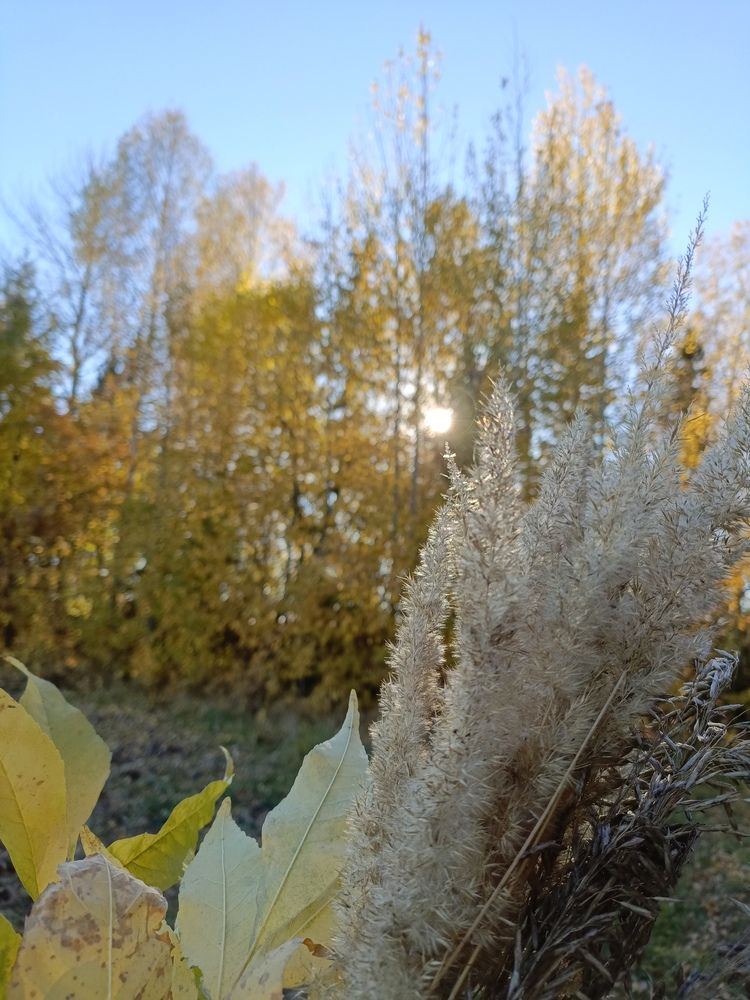Photograph by Ольга