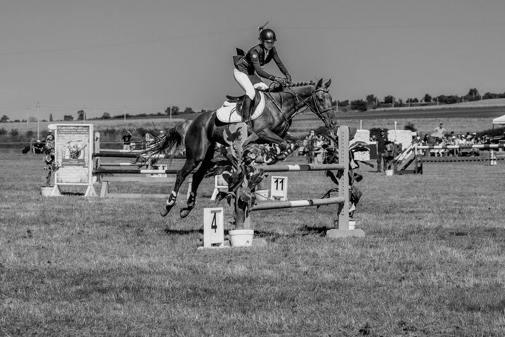 Фотография автора Dmitri Gorbunov