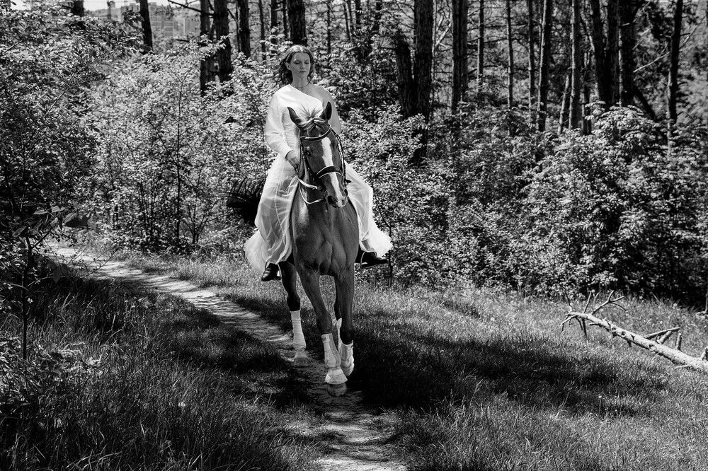 Фотография автора Dmitri Gorbunov