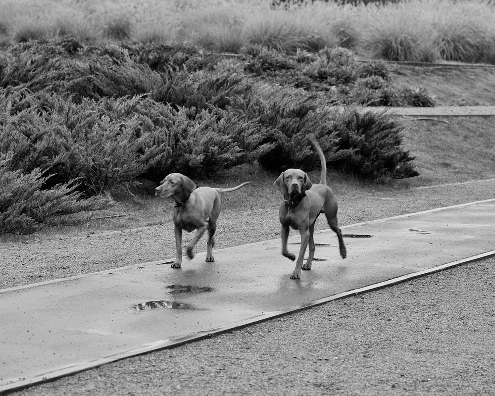 Фотография автора Сергей Иваненко