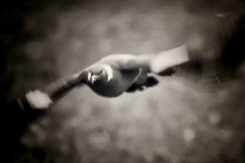 Photograph by Яна Егорова