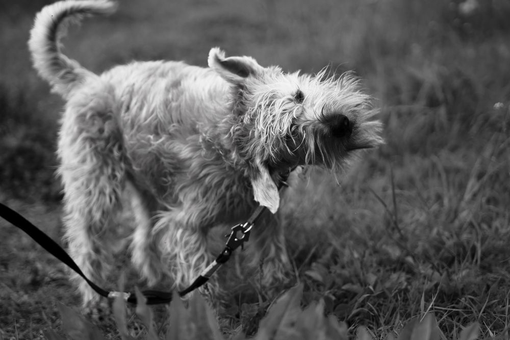 Photograph by Яна Егорова