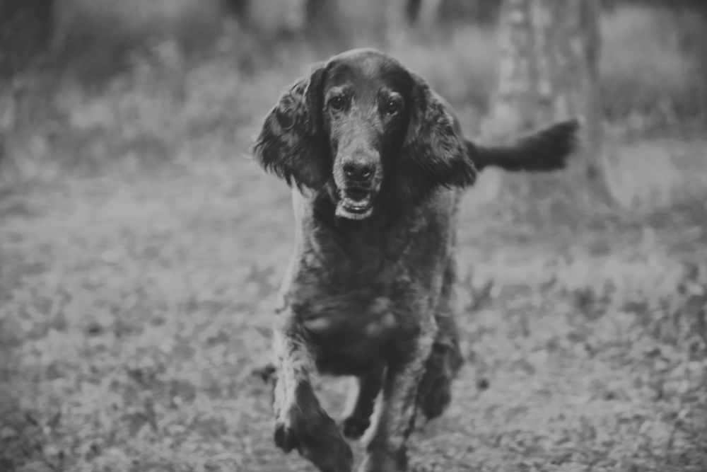 Photograph by Яна Егорова