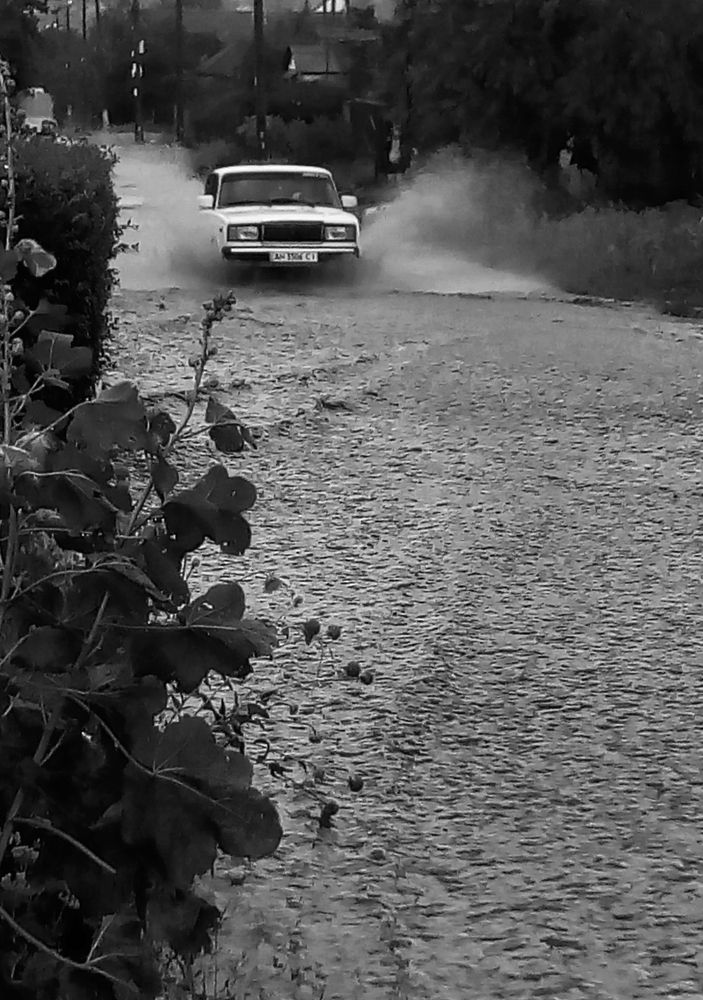 Photograph by Татьяна Пальчикова