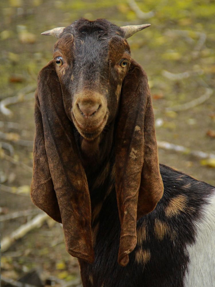 Photograph by Марина Фомичева