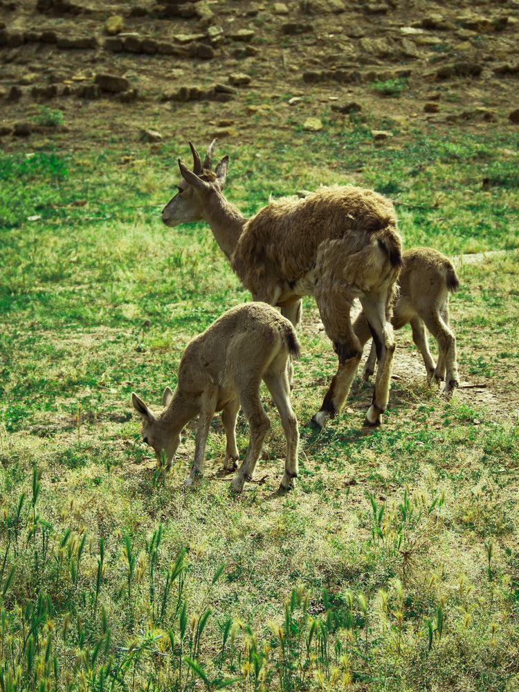 Photograph by Марина Фомичева