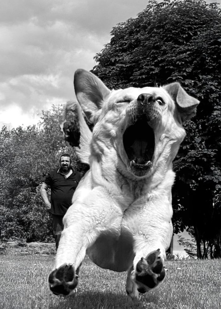 Photograph by Ирина Мошковская