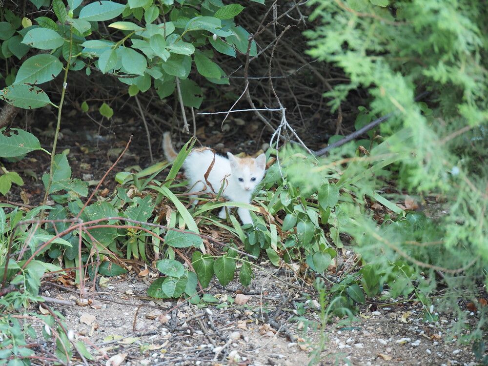 Photograph by Сергей Борисов