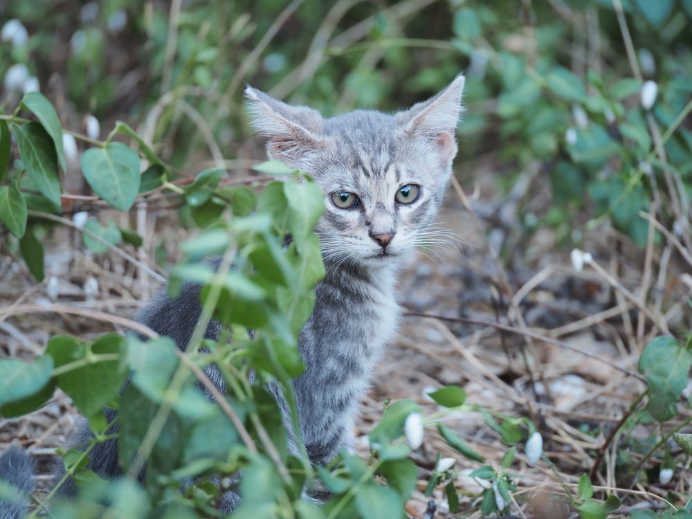 Photograph by Сергей Борисов