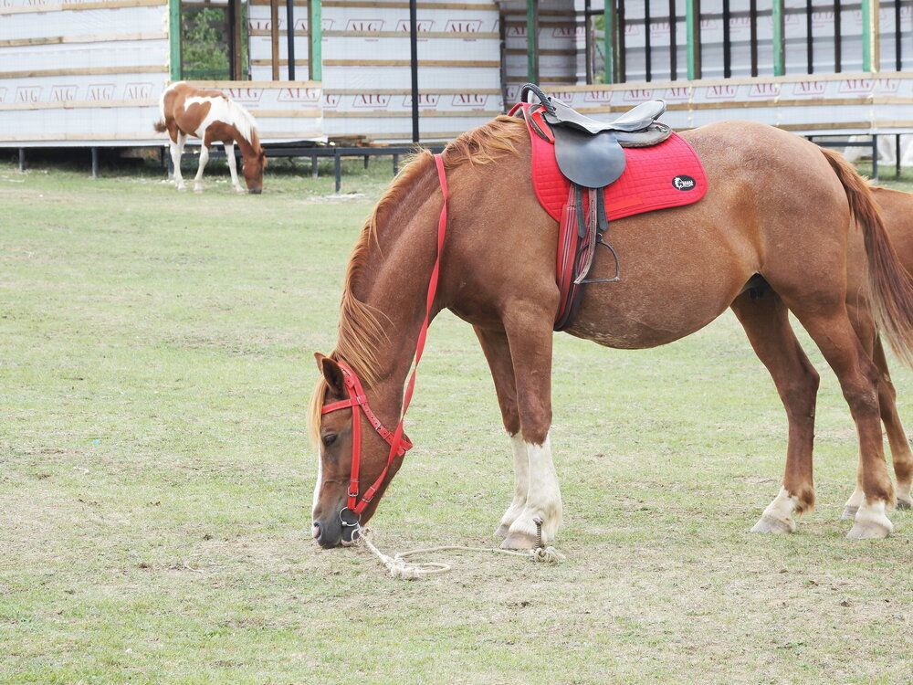 Photograph by Сергей Борисов