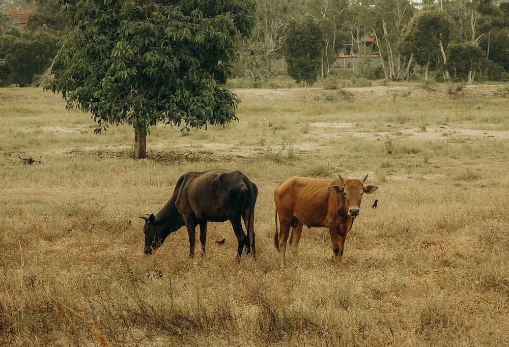 Photograph by Татьяна Александрова