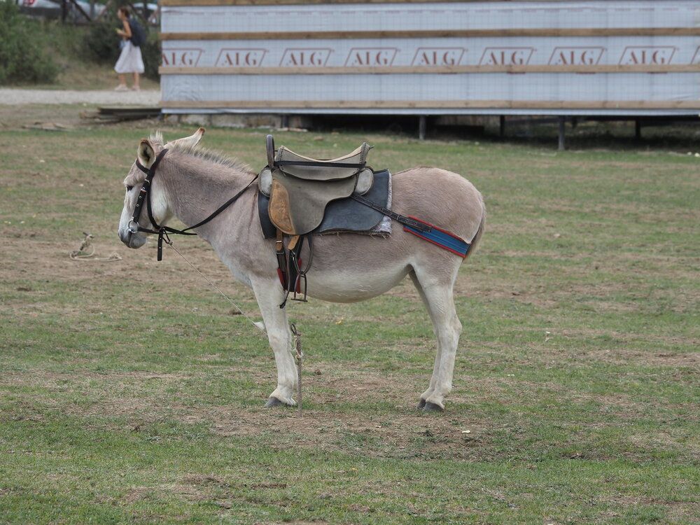 Photograph by Сергей Борисов
