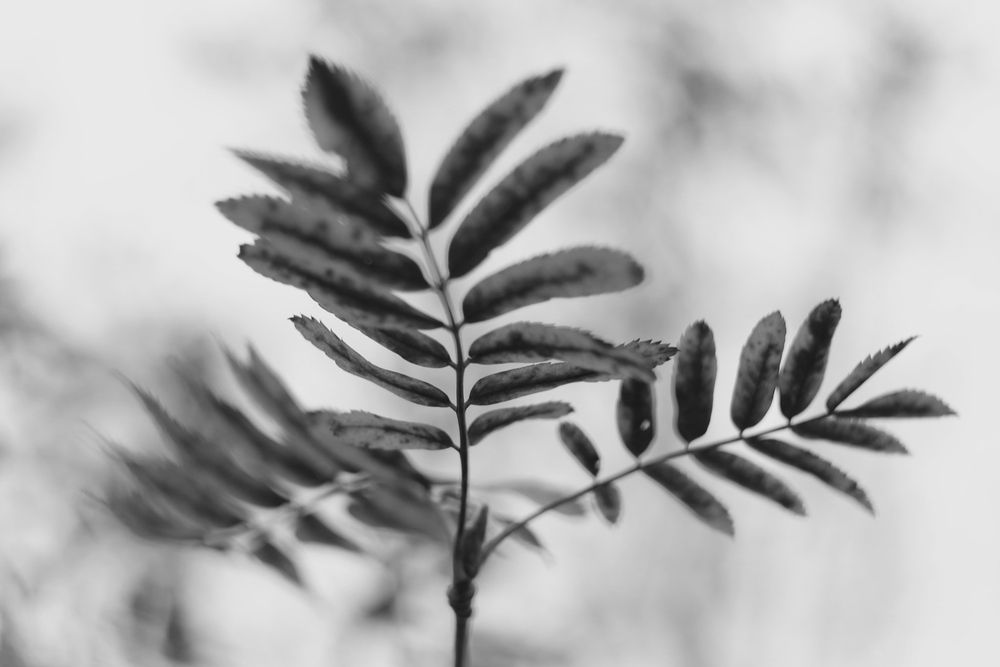 Photograph by Екатерина Иванова