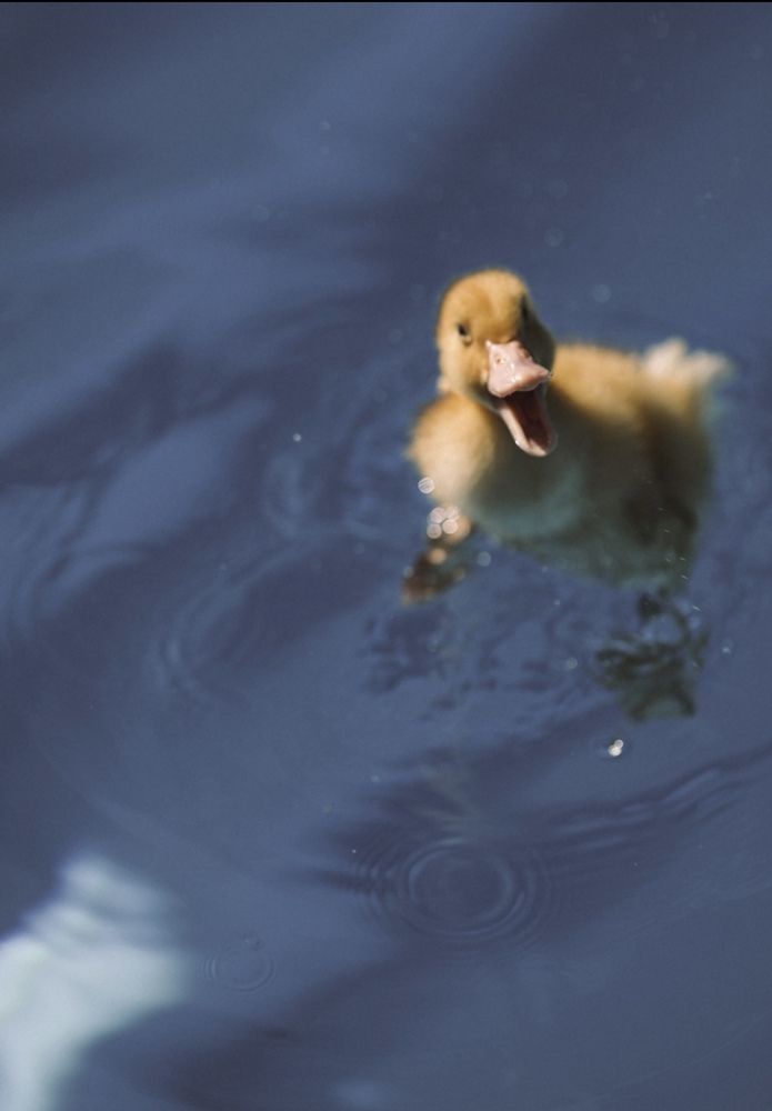 Photograph by Татьяна Александрова