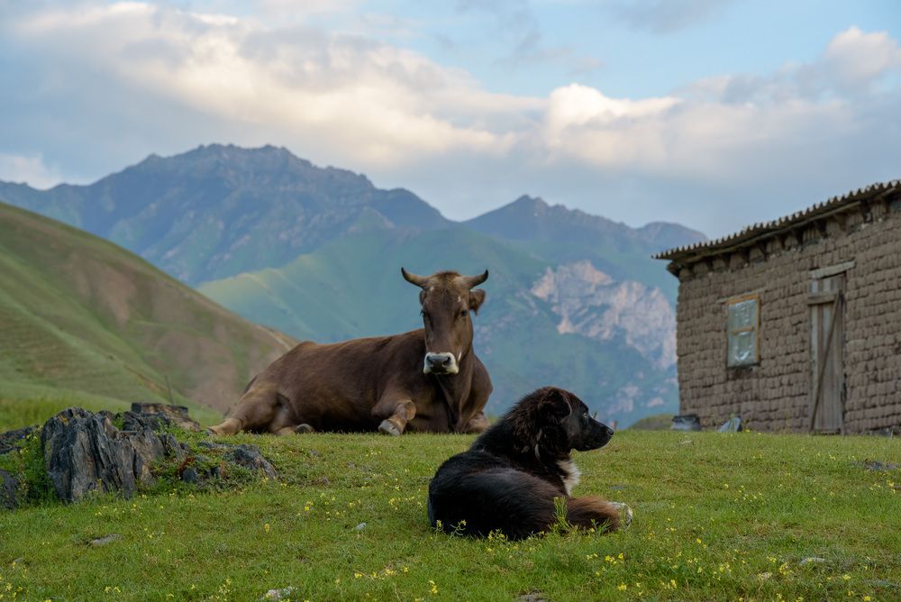 Photograph by Леонид Синев