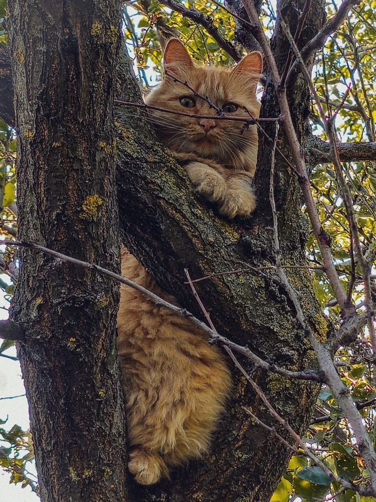 Photograph by Татьяна Небрат