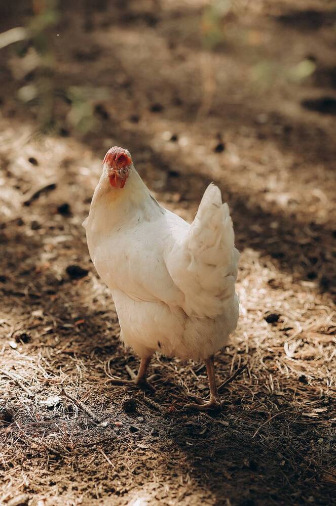 Photograph by Татьяна Александрова