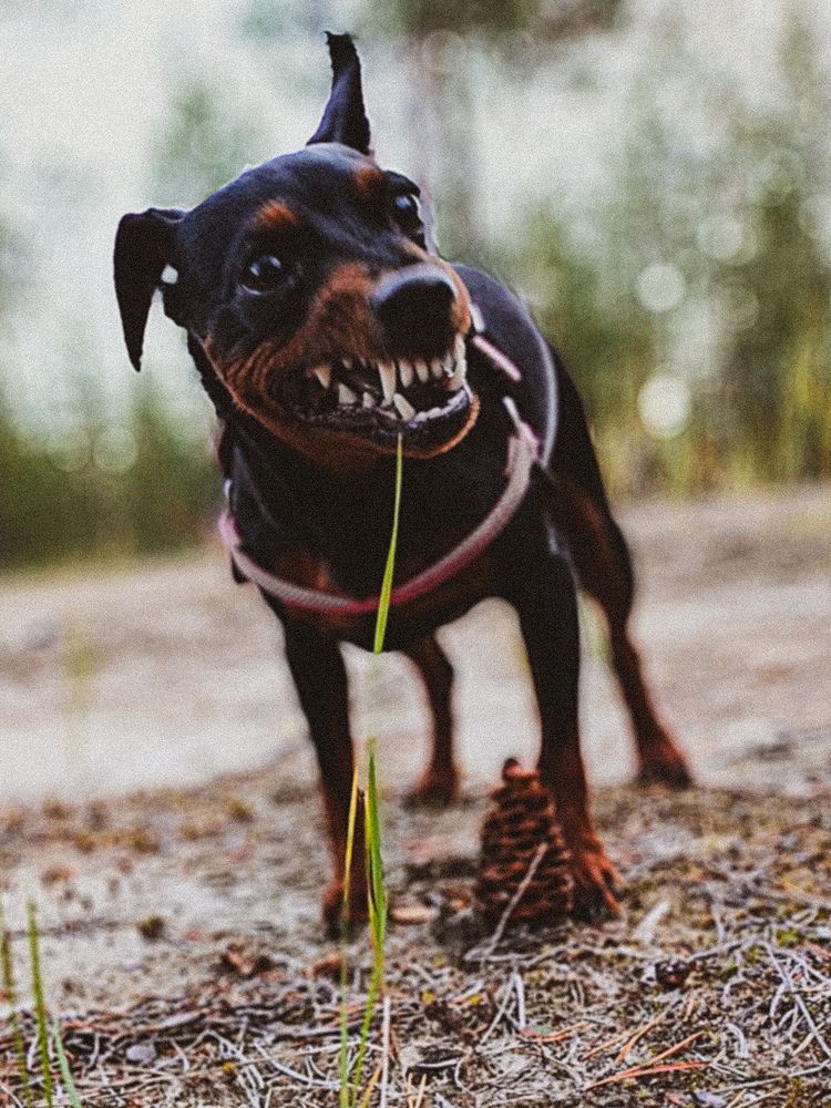 Photograph by Татьяна Небрат