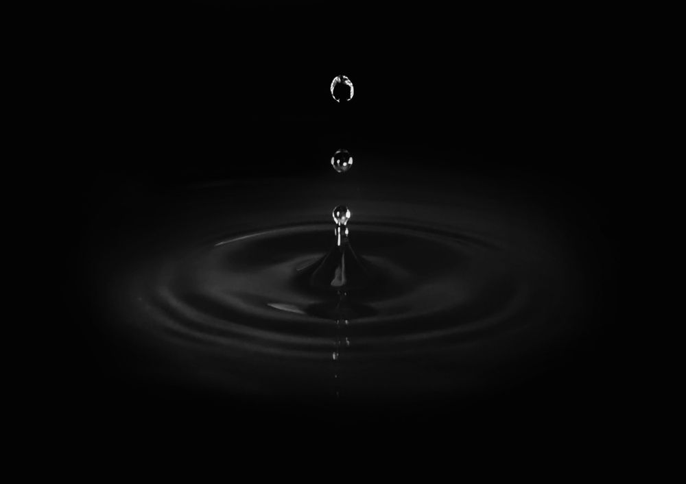 Photograph by Maria Stankevich