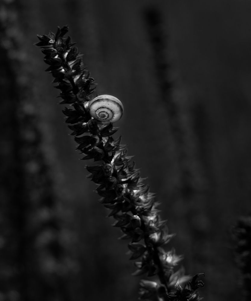 Фотография автора Сергей Иваненко