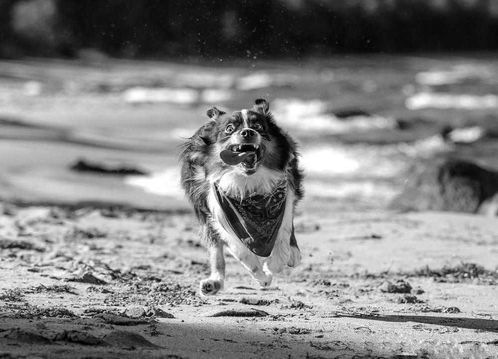 Photograph by Татьяна