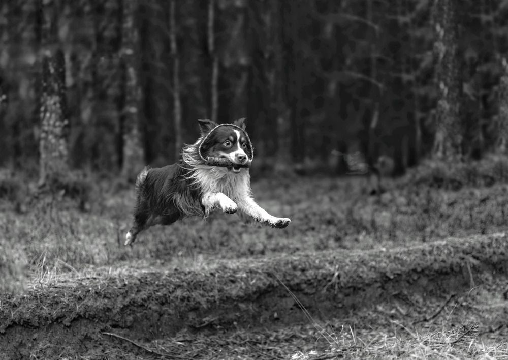 Photograph by Татьяна