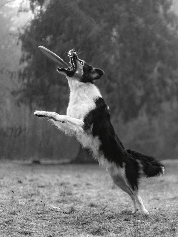 Photograph by Татьяна