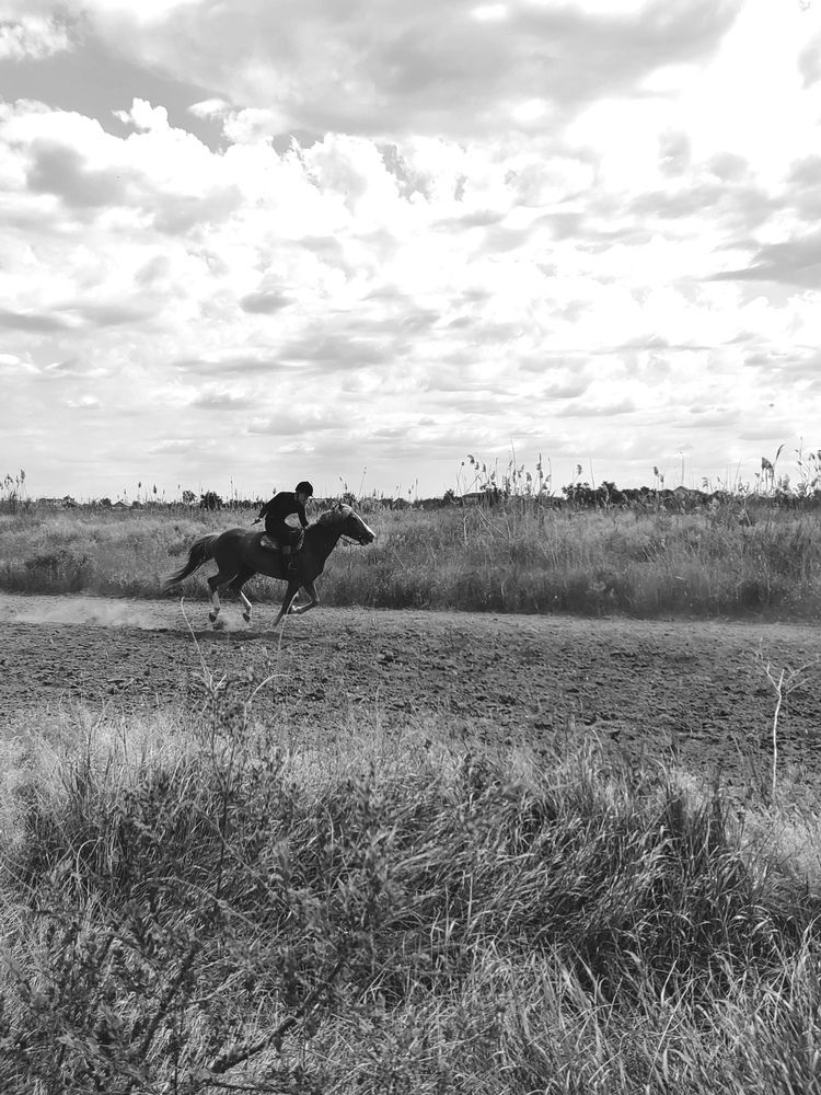 Photograph by Ульяна Кузьмина