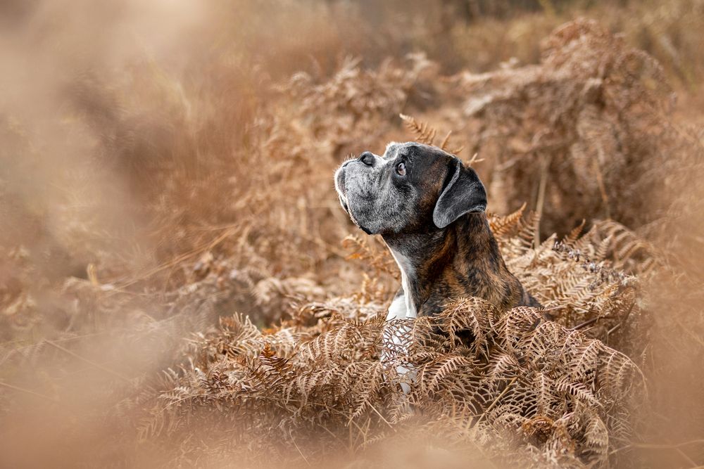 Photograph by Петракова Ольга