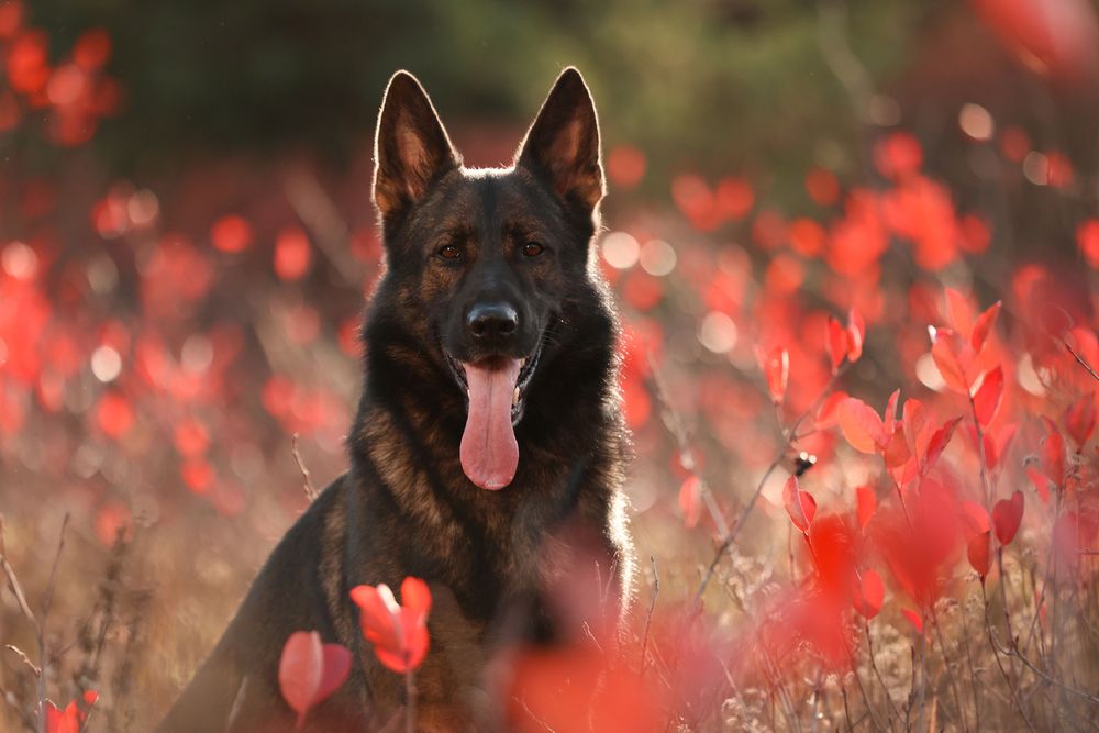 Photograph by Мария