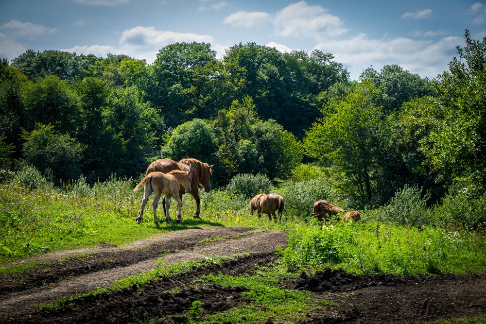 Фотография автора Василиса Новикова