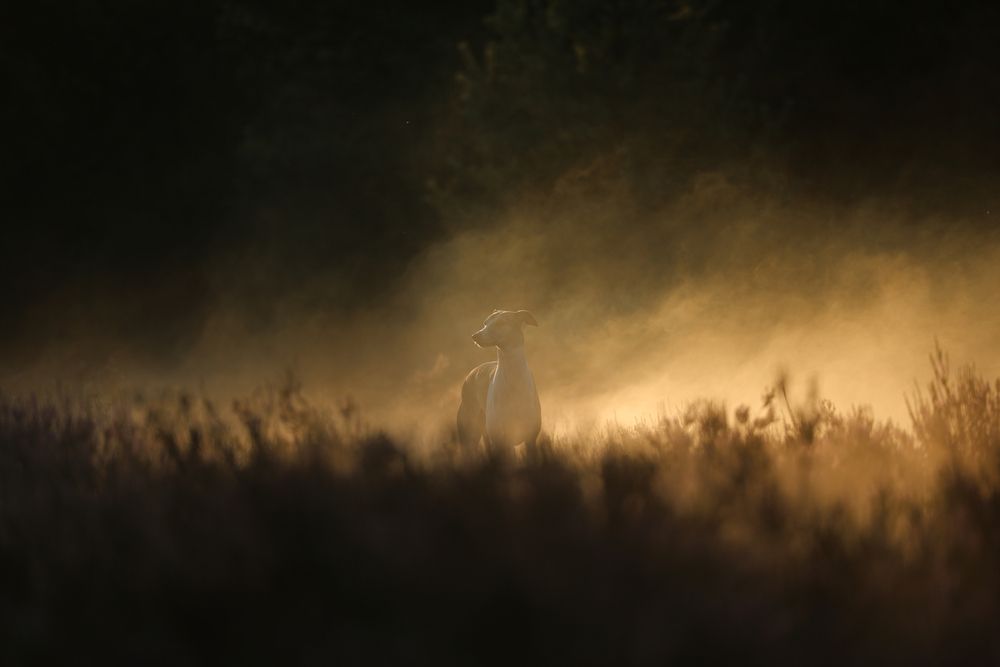 Photograph by Мария