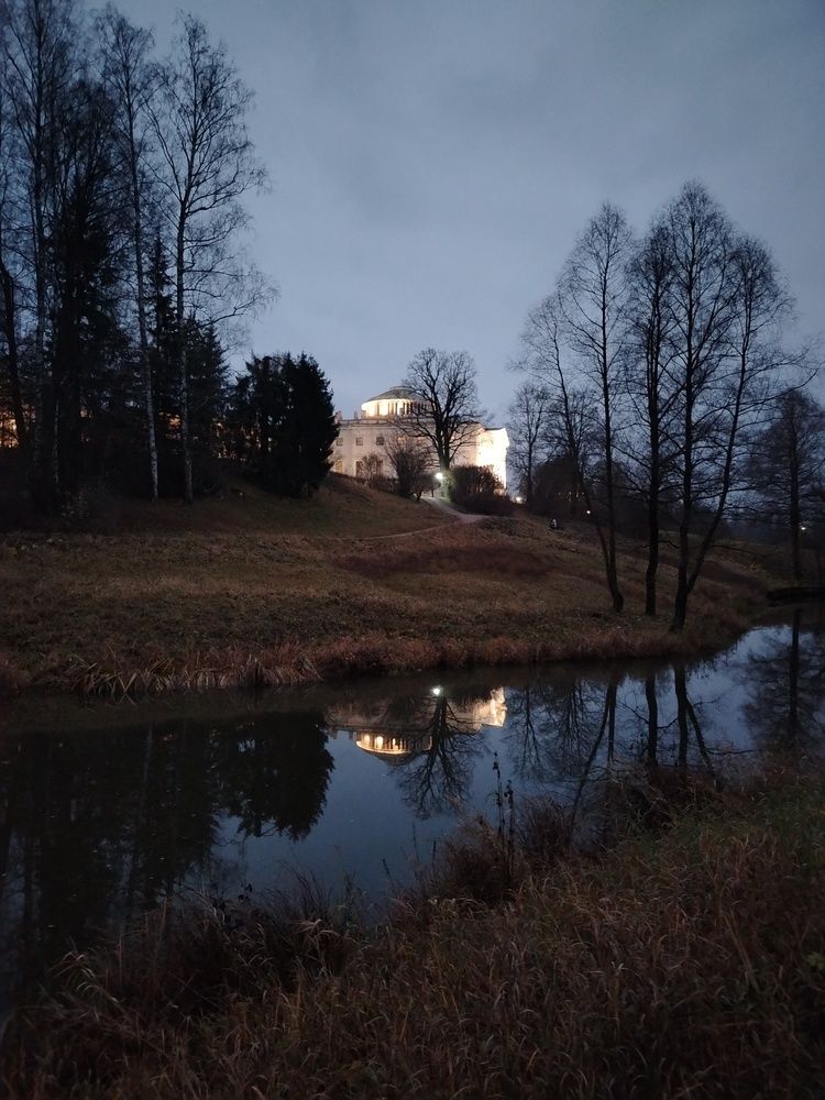 Photo #12806216