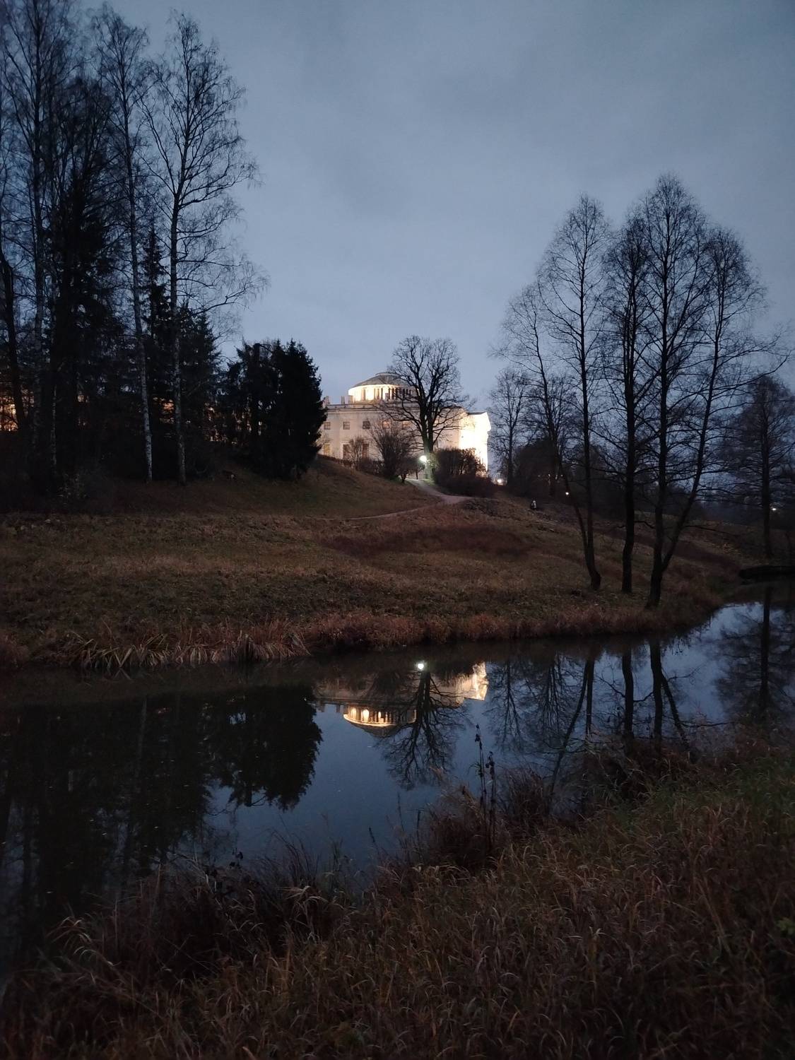 Photo #12806216