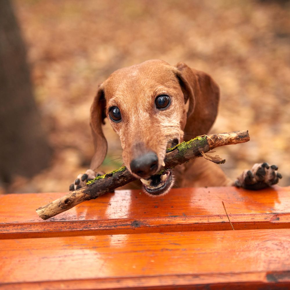 Photograph by Владимир Греков