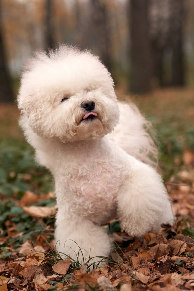 Photograph by Владимир Греков