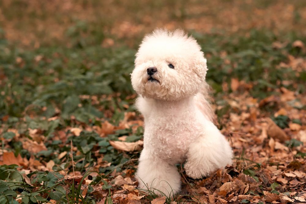 Photograph by Владимир Греков