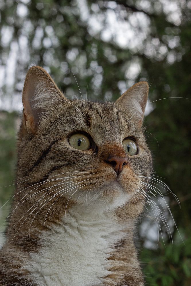 Photograph by Надежда Соболевская