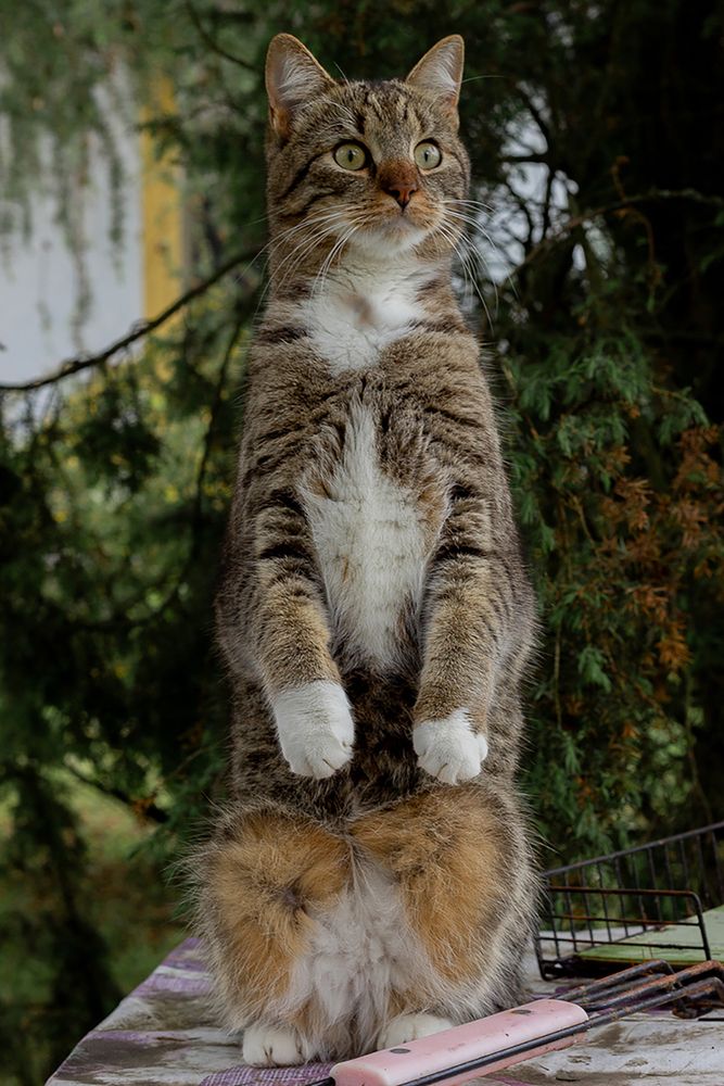 Photograph by Надежда Соболевская