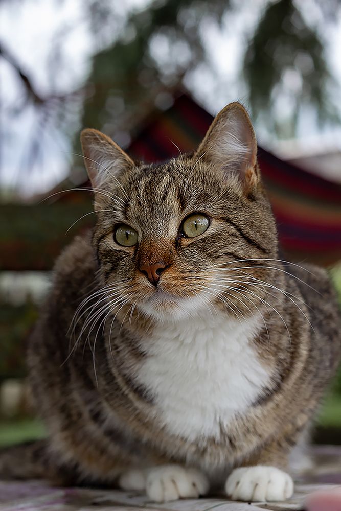 Photograph by Надежда Соболевская