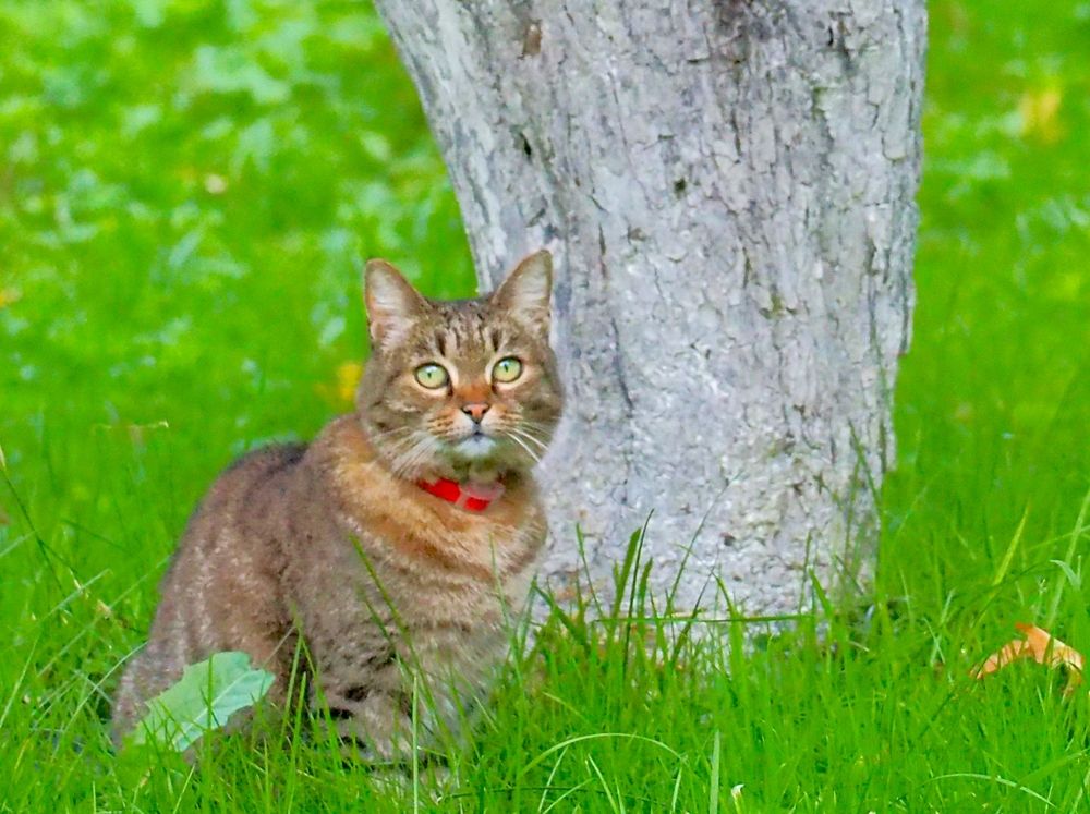 Photograph by Svetlana Aleks