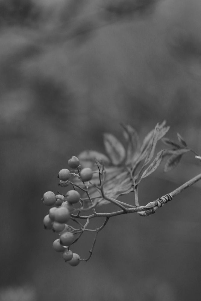 Photograph by Екатерина Иванова