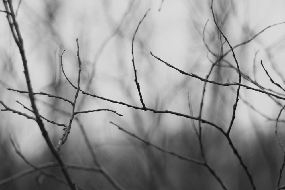 Photograph by Екатерина Иванова