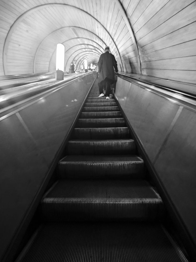 Photograph by Елена Шоколенко