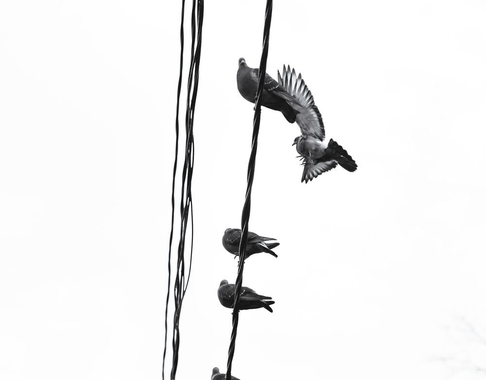 Photograph by Елена Барышева